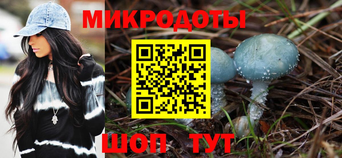 Галлюциногенные грибы Cubensis Ртищево